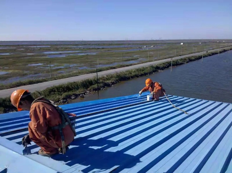 临颍钢结构屋面漏水原因